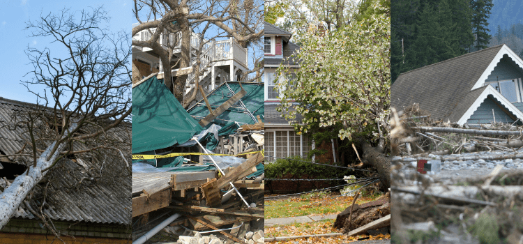 Miami Public Adjuster | Fighting for Miami Property Owners Miami Storm Damage Images